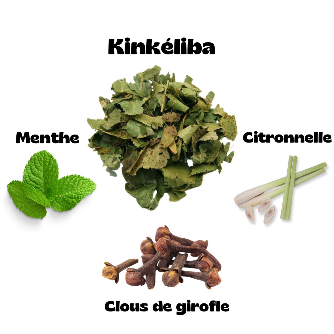 Thé Minceur Bio delightful and  revitalizing  herbal  tea  available  